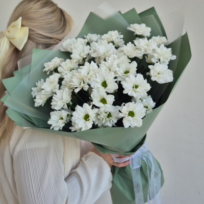 5 кустовых хризантем 