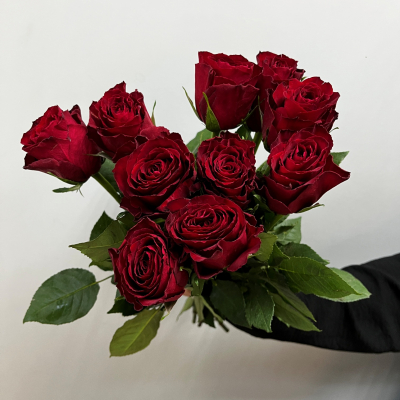 Розы  красные 40см (Кения)