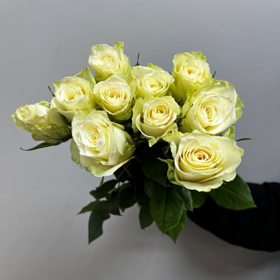 Розы белые 40см (Кения)