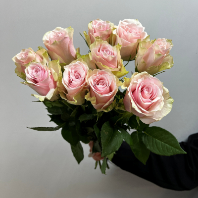 Розы нежно-розовые 40см (Кения)