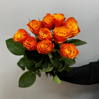 Розы  оранжевые 40см (Кения)