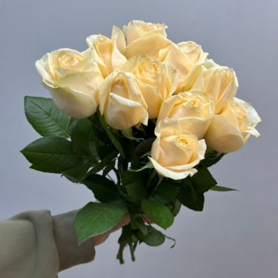Розы персиковые 40см (Кения)