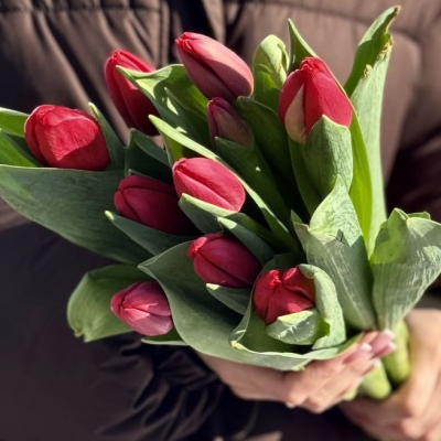 Тюльпаны красные В/С