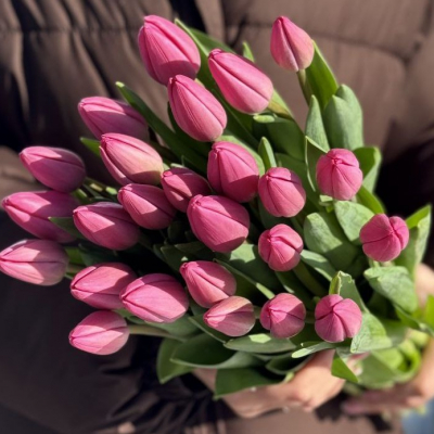 Тюльпаны розовые В/С