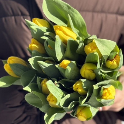 Тюльпаны жёлтые В/С