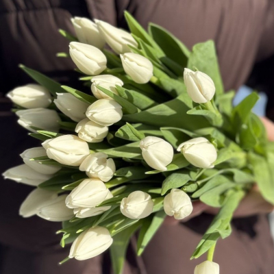 Тюльпаны белые В/С