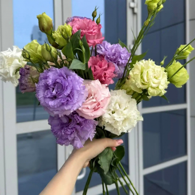 Эустома 2/с MIX