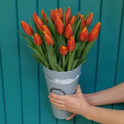 25 красных тюльпанов коробке